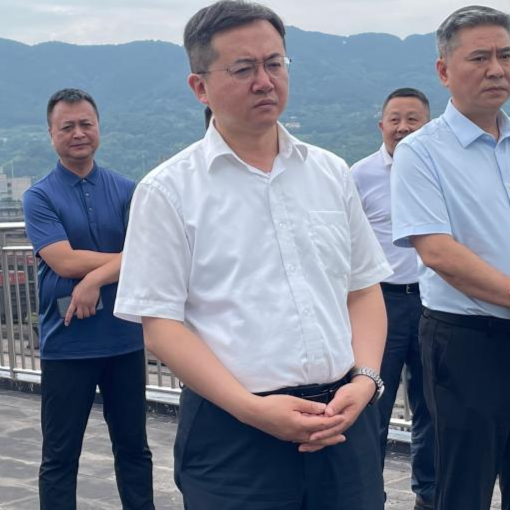 国家能源集团煤炭经营分公司董事长杨希刚一行赴果园港考察调研