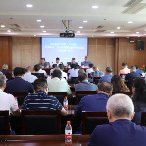 重庆港纪委召开廉洁风险隐患专项治理工作会