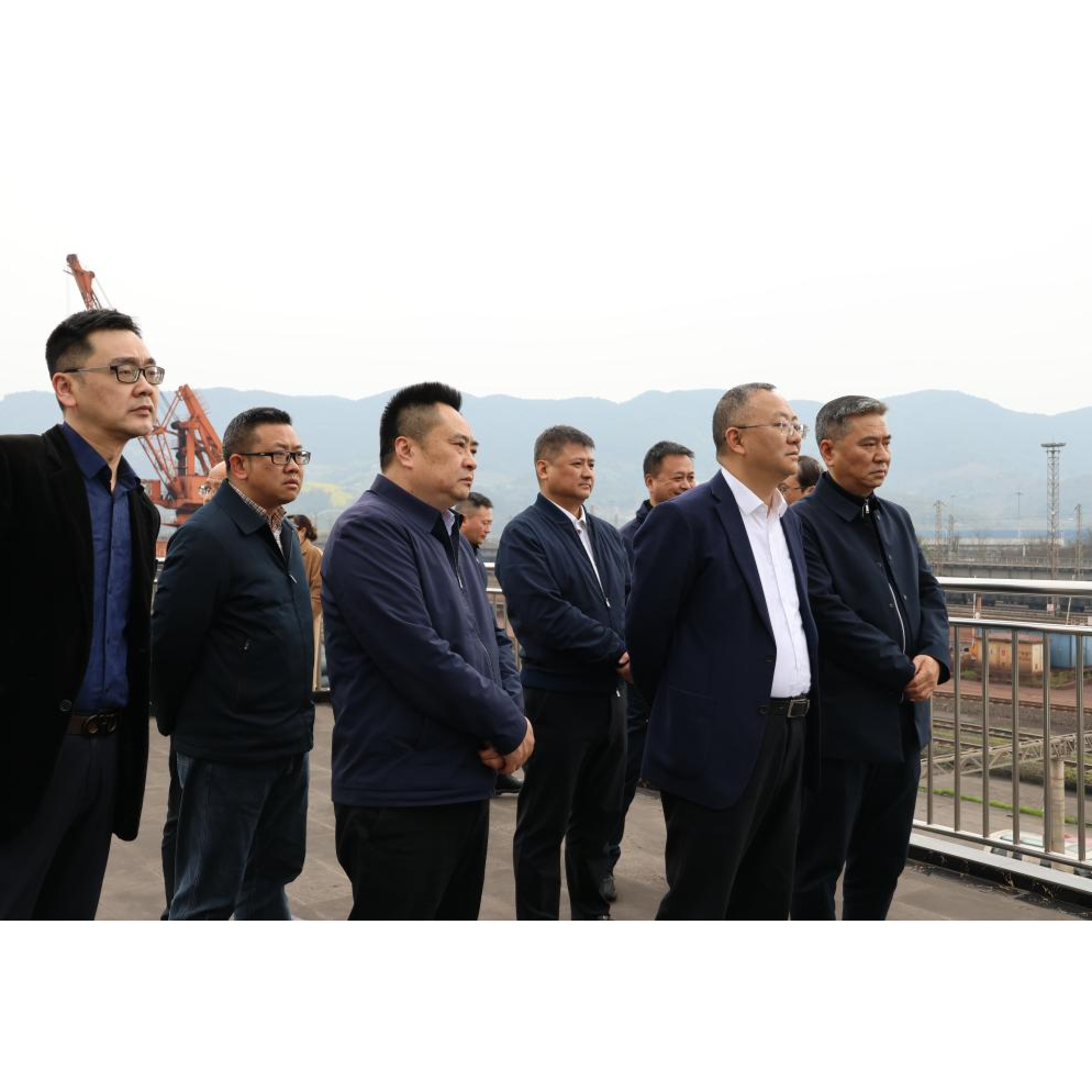 重庆农投集团赴果园港考察调研