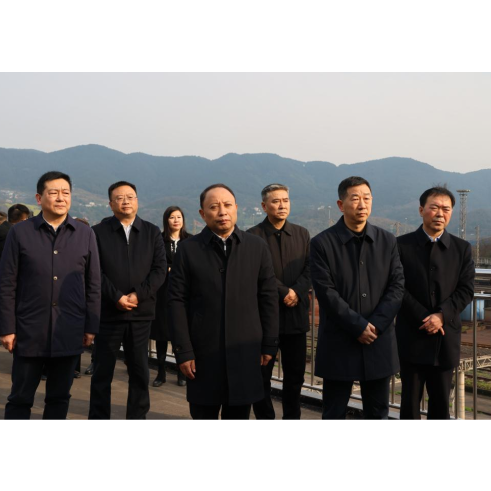 广元市委书记何树平一行到访果园港