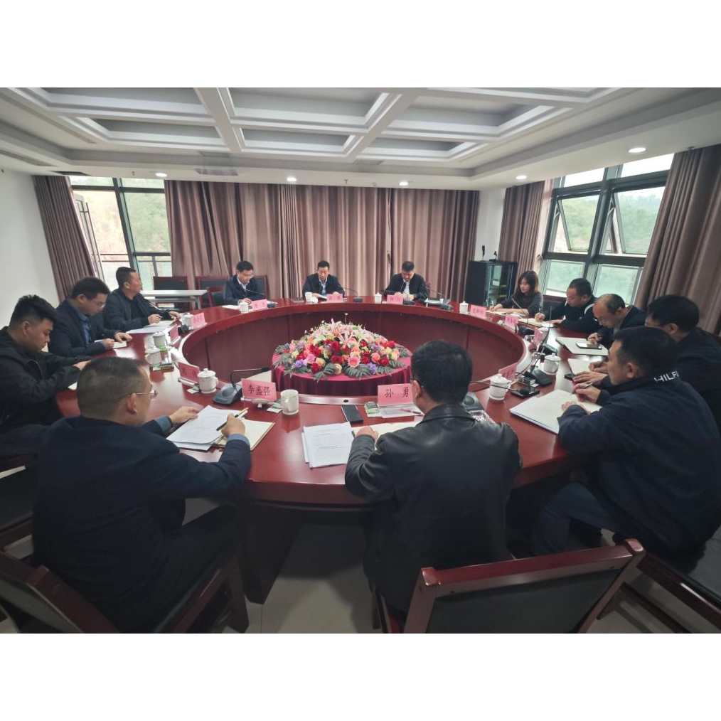 张强一行到珞璜公司、江津公司调研